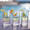 Load image into Gallery viewer, El Conquistador Shot Glass
